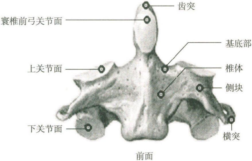 第一节 概述